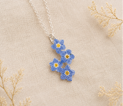 Picture for category Forget-Me-Not